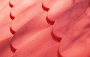 Signet plastic roof costs