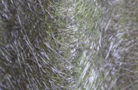 Signet fibreglass roof work