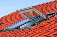 Signet roof window